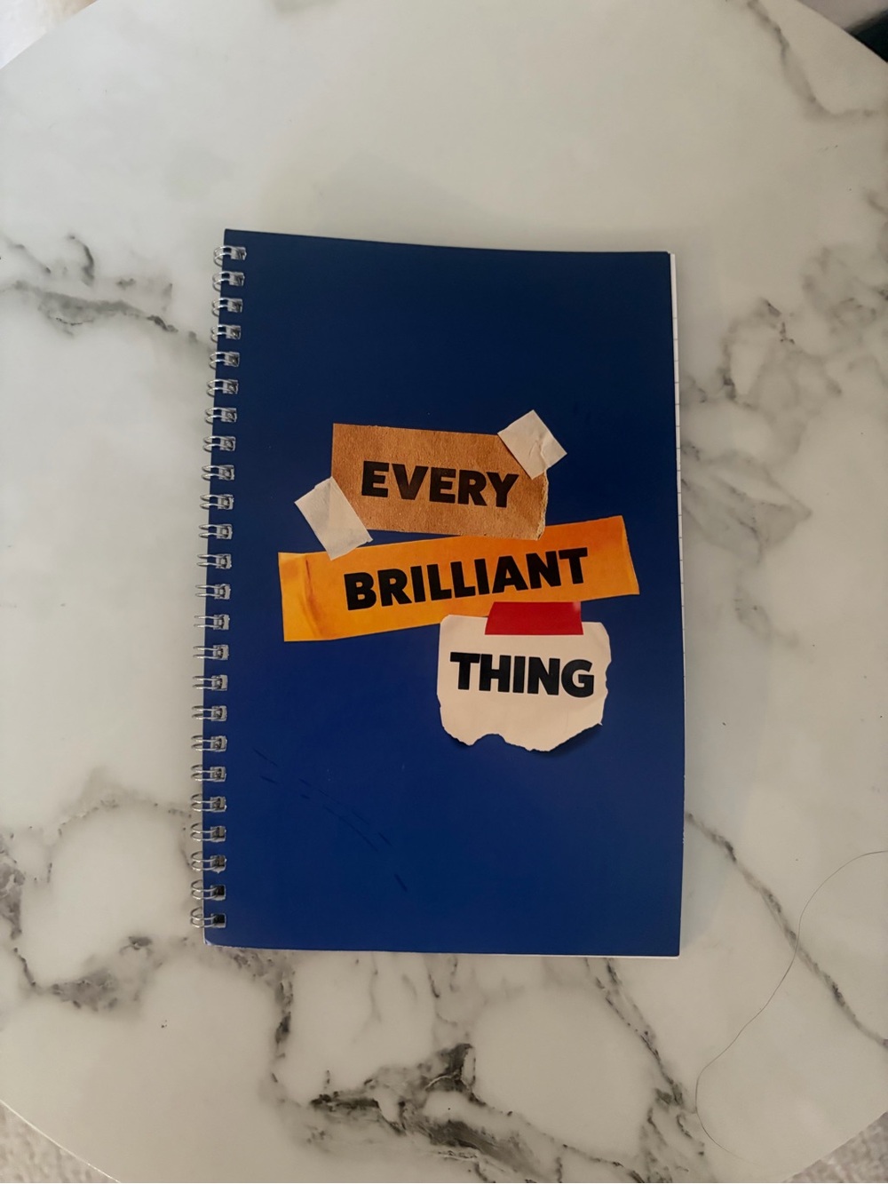 Every Brilliant Thing Blue Spiral Notebook - Home Accents